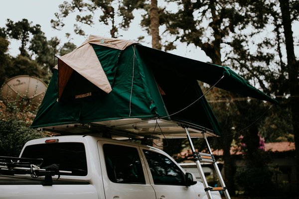 Les bienfaits du bain de forêt pour votre corps et votre esprit